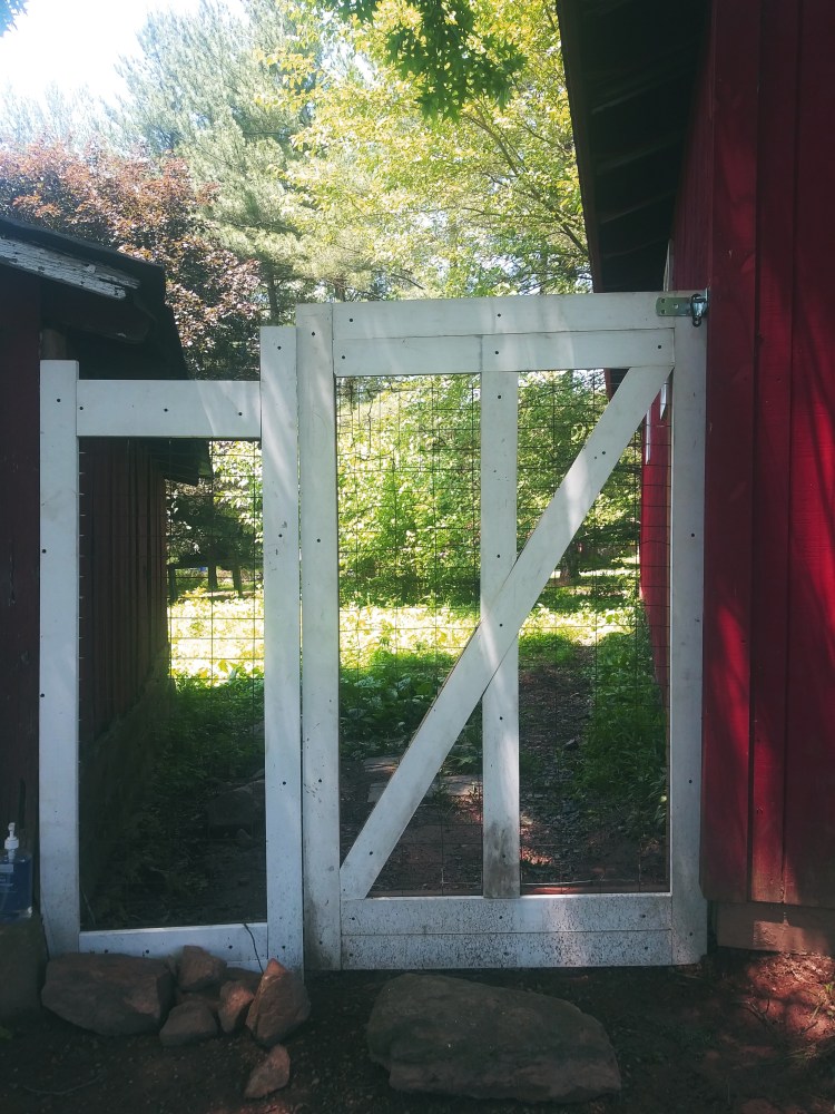 Farm Charm Gate to the Chicken Coop and Chicken Yard