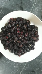 Blackberries from the Farm Charm bushes