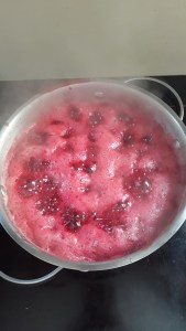 Cooking the blackberries for canning