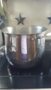 My 20 quart pot for canning