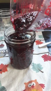 Pouring my first jar of blackberry jam