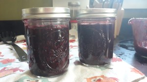 Two jars of homemade blackberry jam