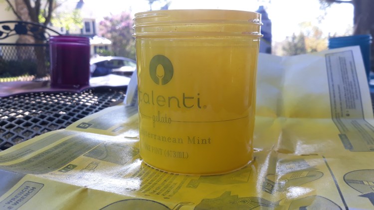 Pint gelati container with endless craft potential