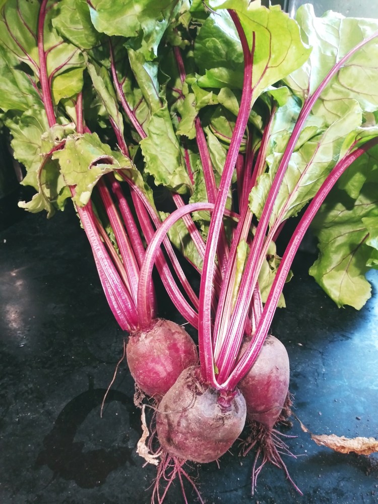 Farm Charm Beets