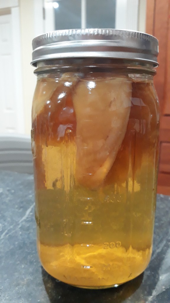 Making kombucha at home - yeast mat