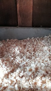 Metal nesting boxes with extra shavings