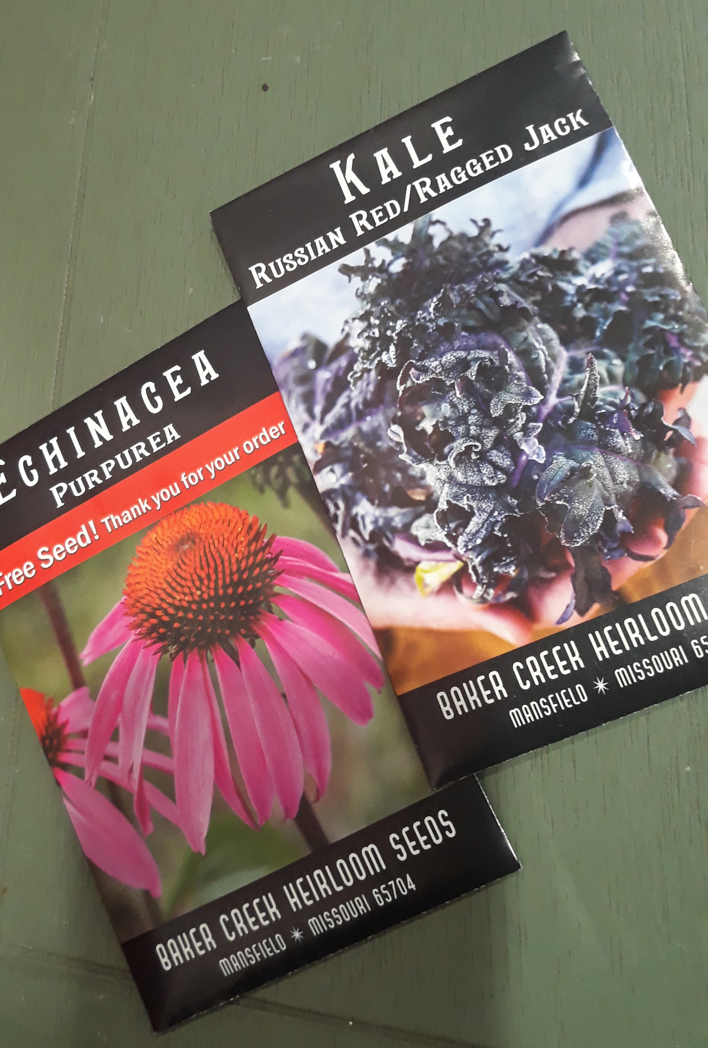 Two seed packets for echinace and Russian red kale from Baker Creek