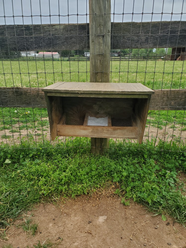 Mineral station - a wood box with three sections - about 4 feet off the ground