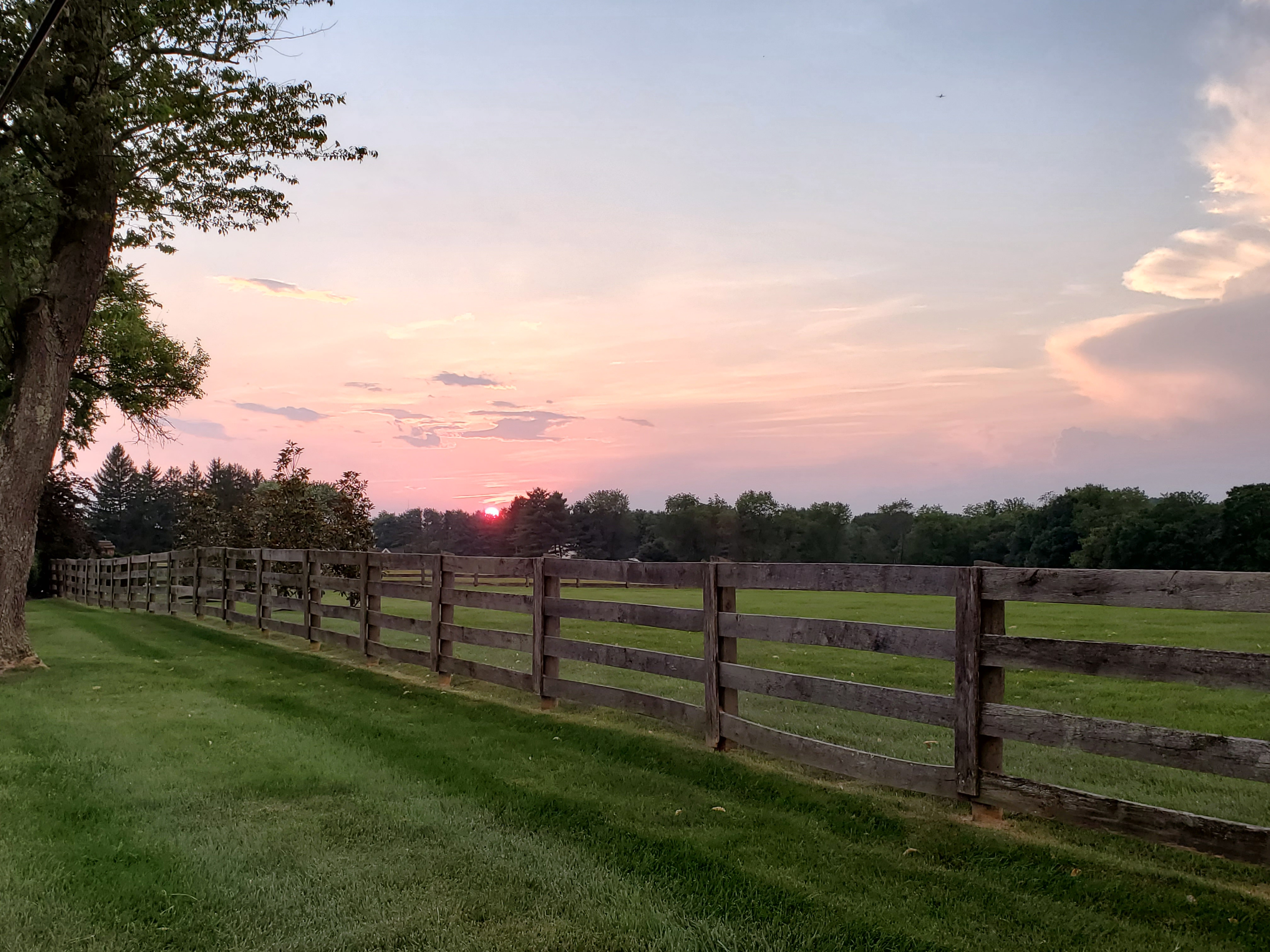 Summer evening sunset with fence and field