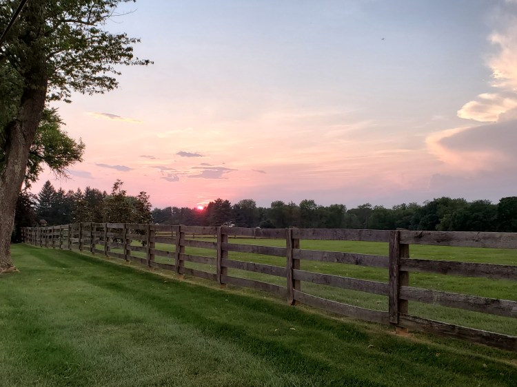 Summer evening sunset with fence and field