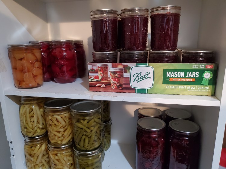 pints, half pints and quarts of beets, beans and blackberries