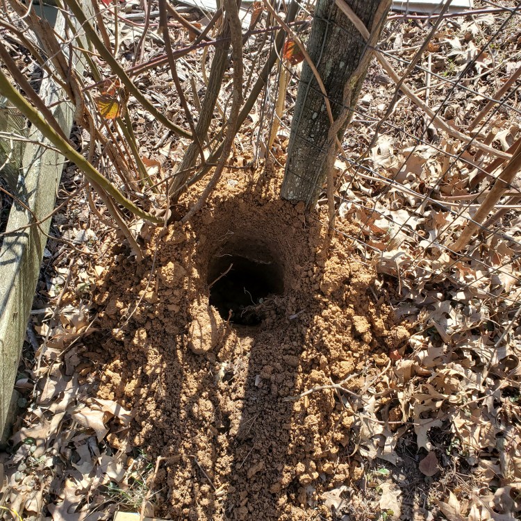 One hole in the ground for the posts to rest in
