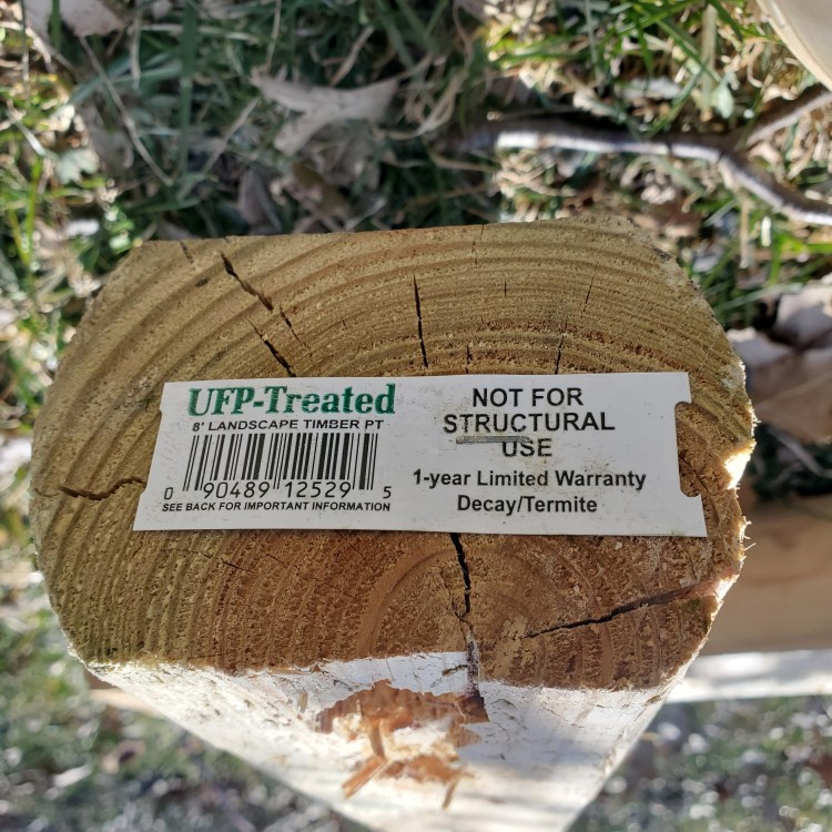 8 foot 4x4 posts as the vertical supports of the berry trellis