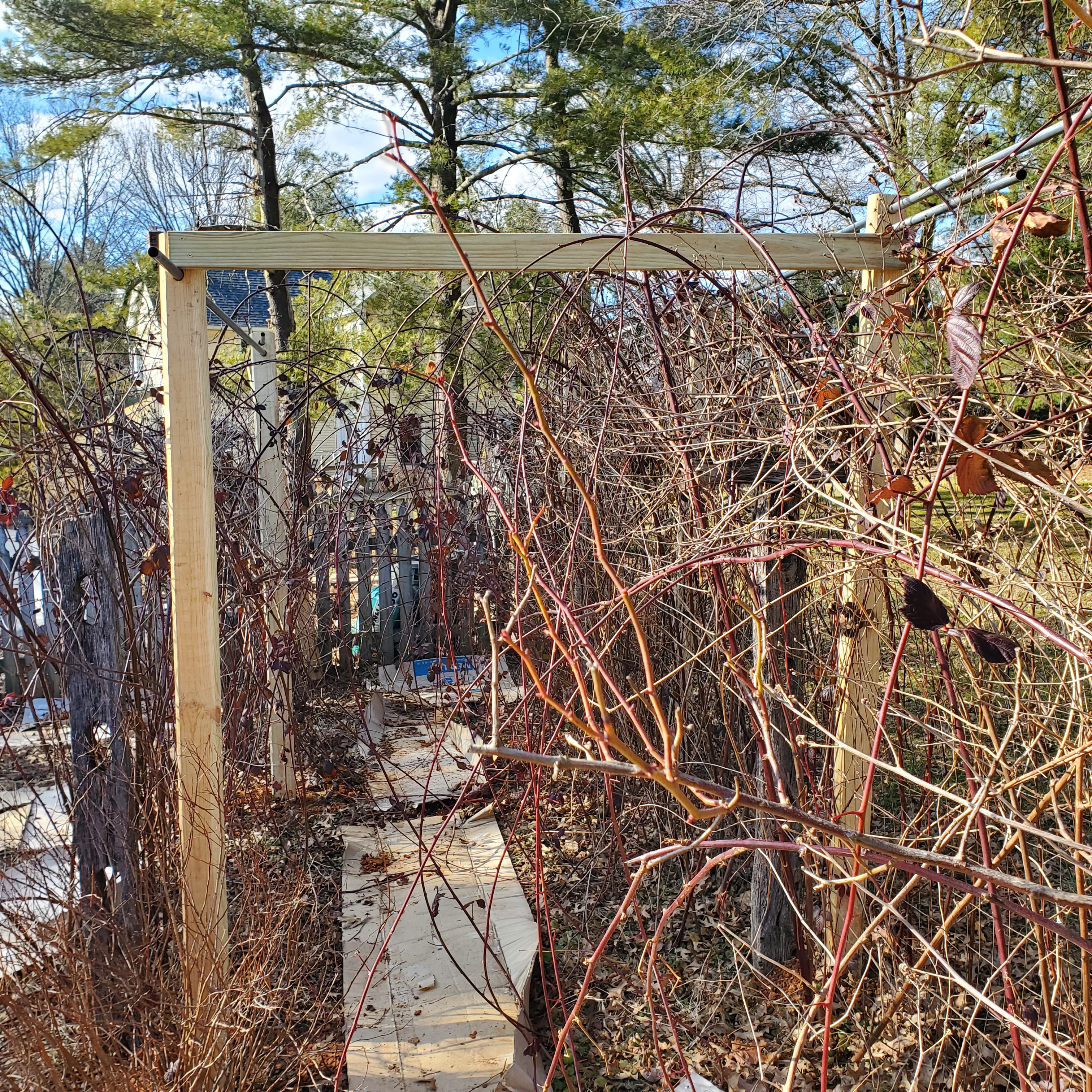 Looking through the berry tunnel at the 3 bridges that connect both sides