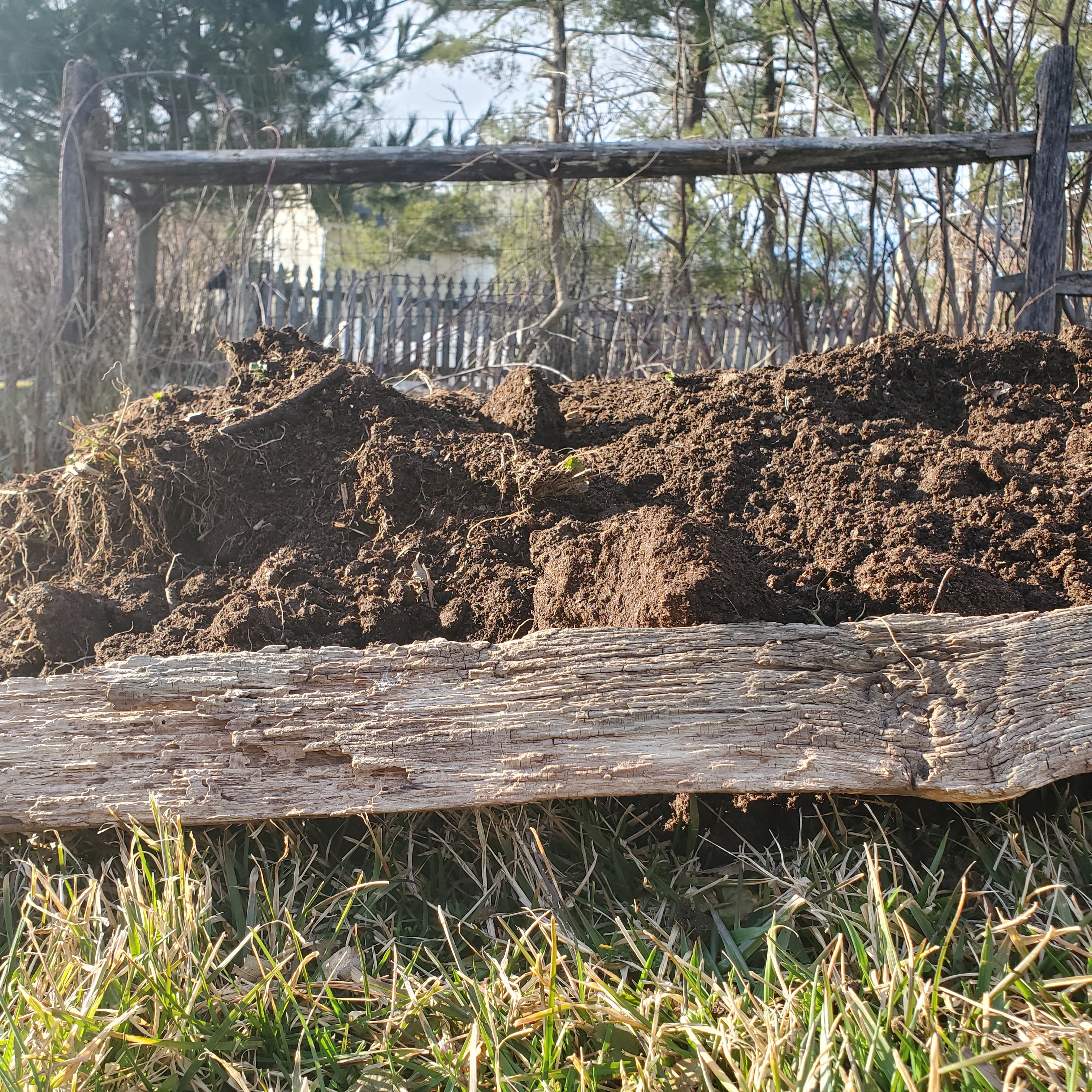 ground view from the side of the raised row