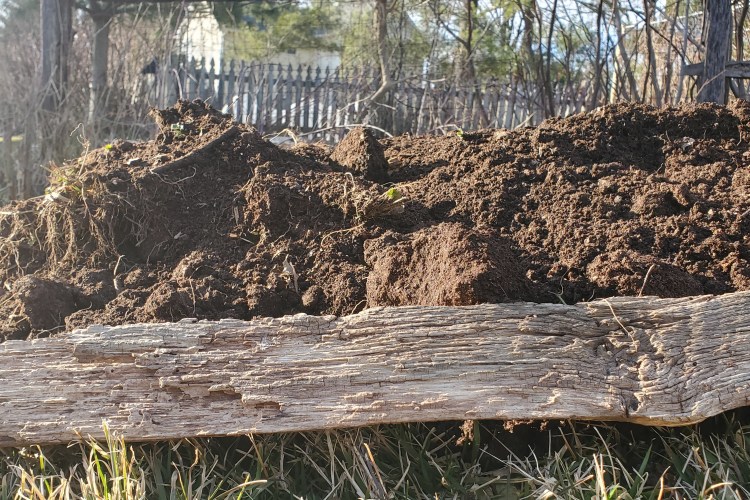 ground view from the side of the raised row