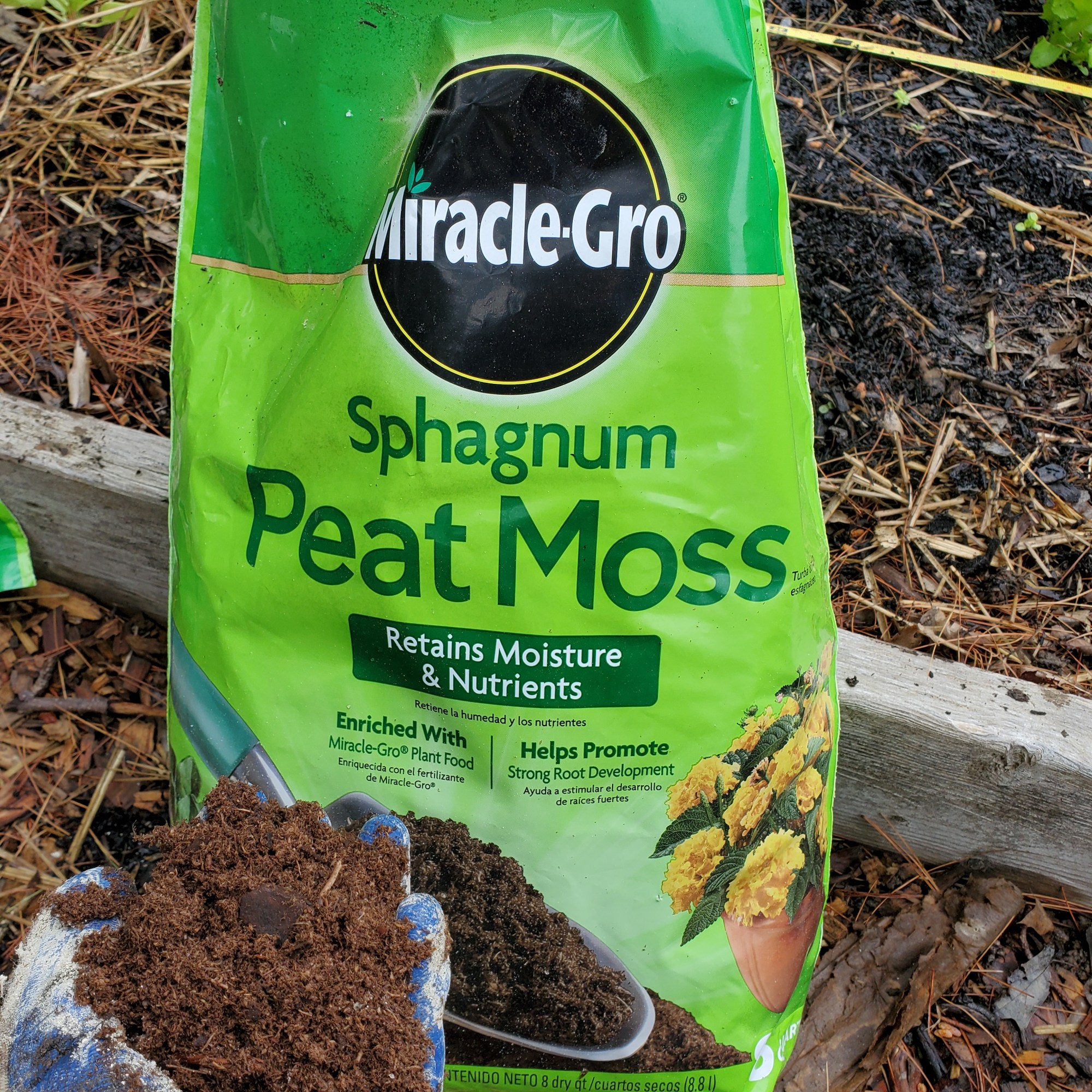 Peat moss for strong roots