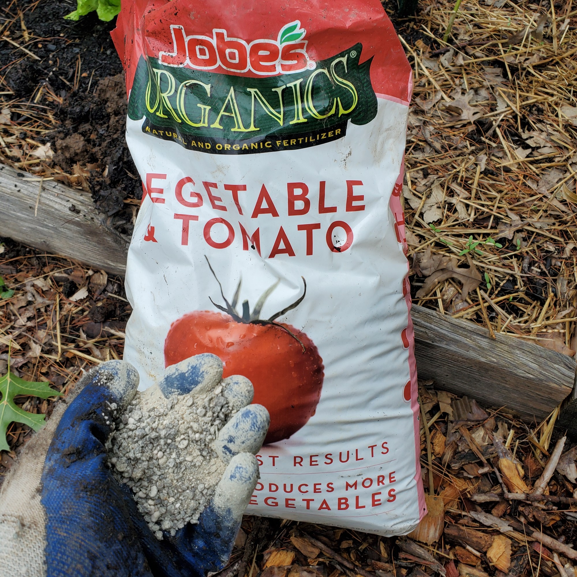 Tomato fertilizer for a strong, nutritious start