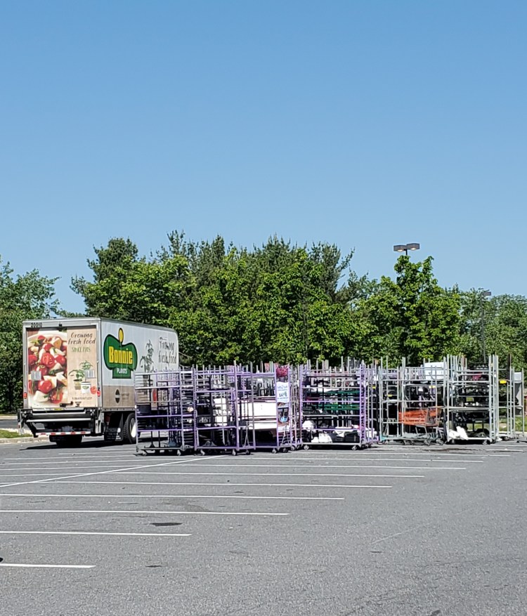 Metal shelving carts in parking lot