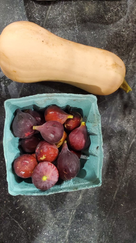 Butternut squash and figs
