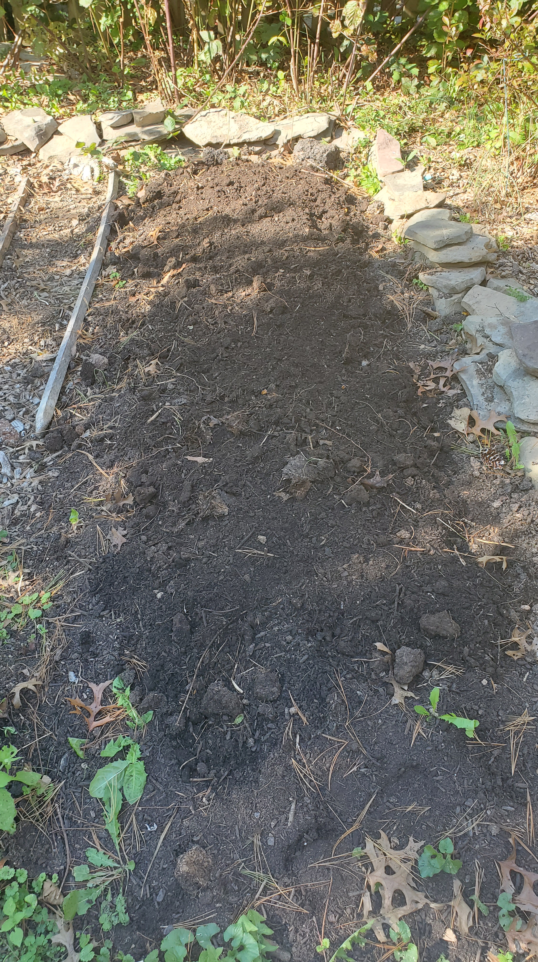 garden bed layered with compost and manure for garlic planting
