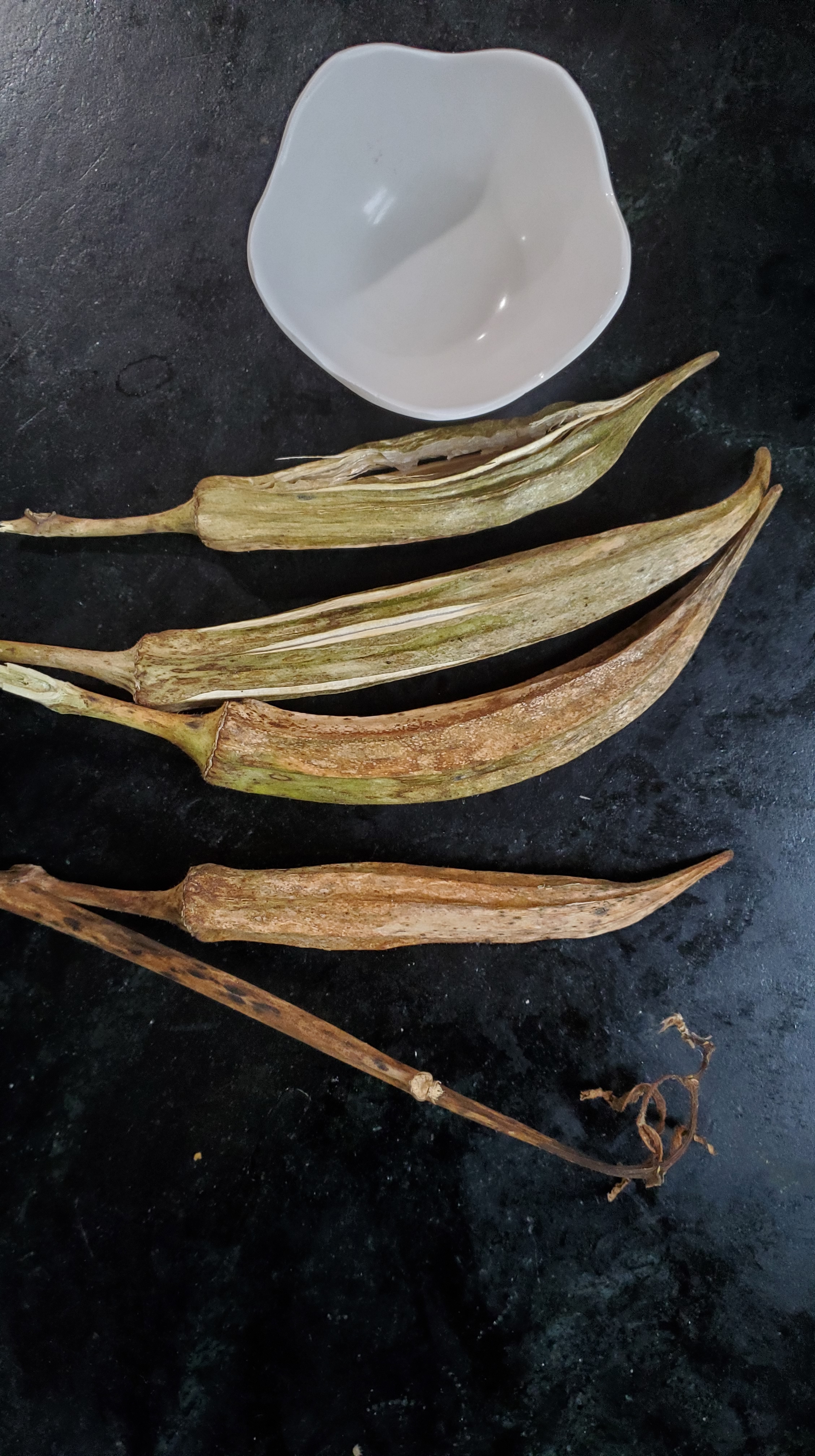 four dried okra husks