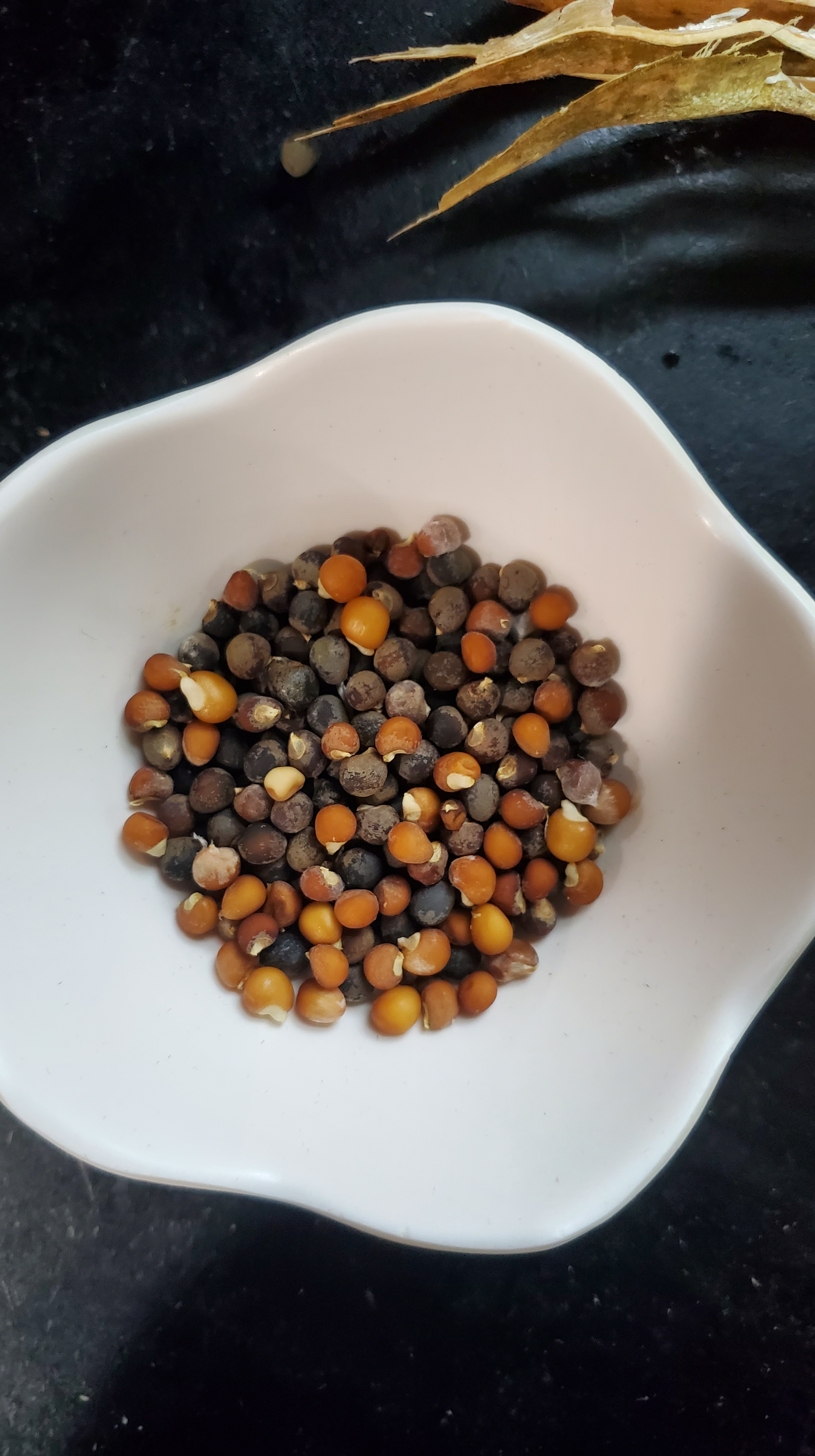 bowl of okra seeds saved from husks
