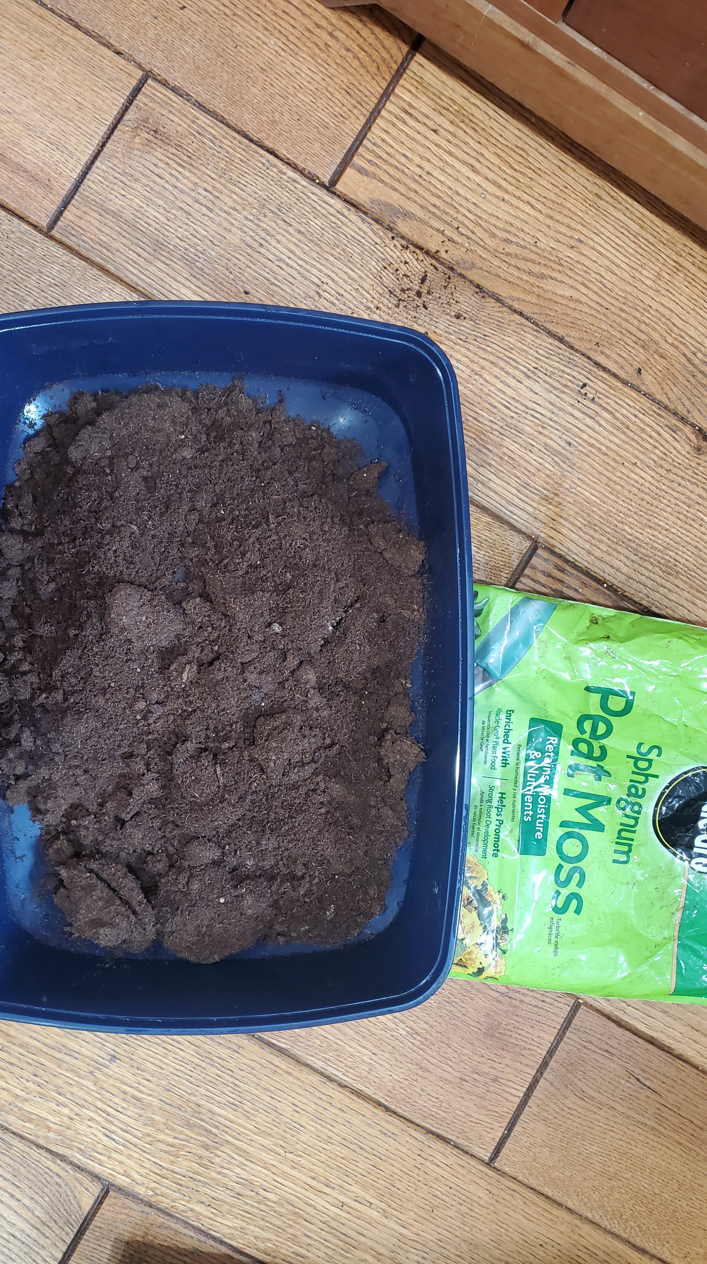 peat moss in a bucket