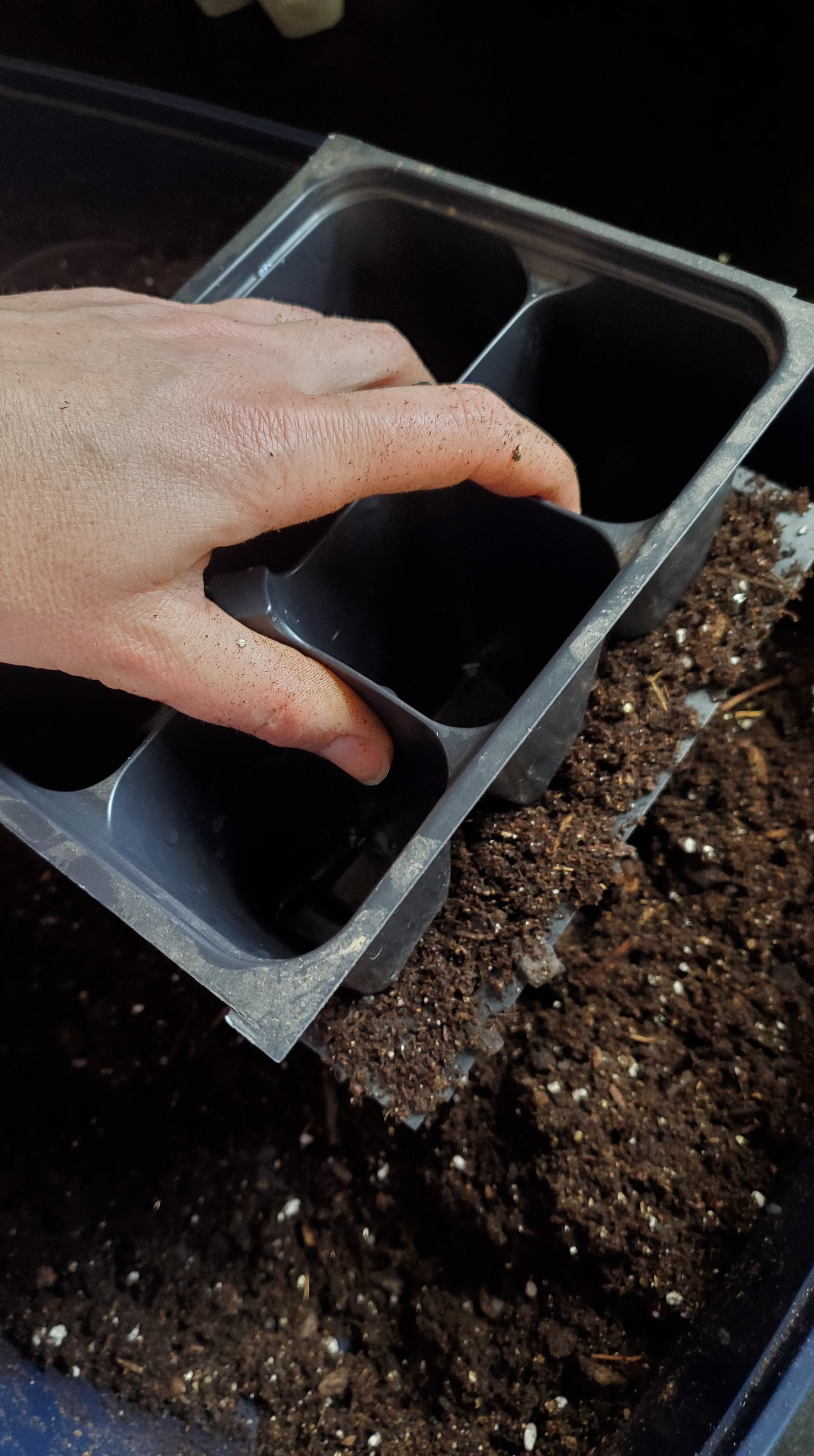 using one 6 cell tray to pack another 6 cell tray