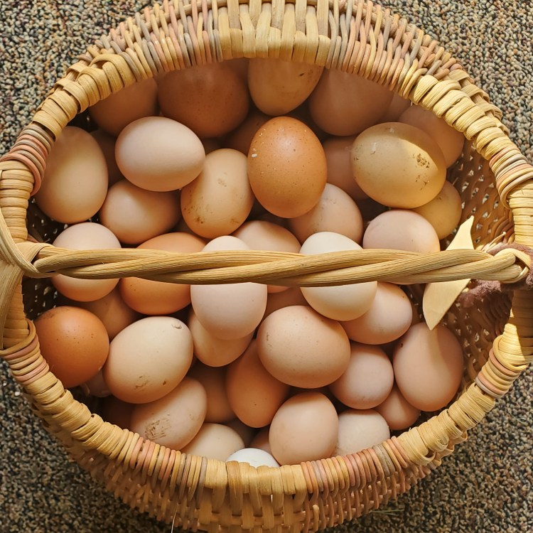 Egg Basket full of three dozen eggs