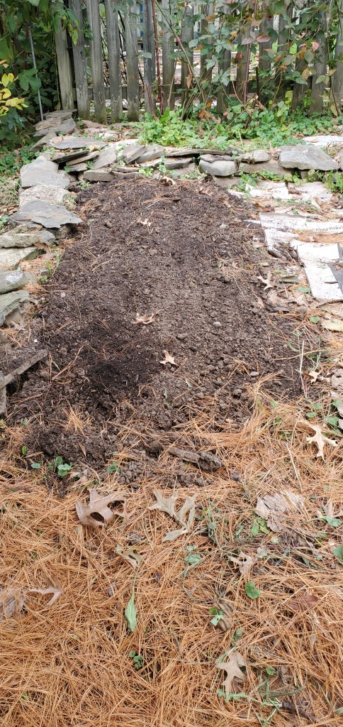 three foot by 10 foot garden bed unprepped for planting