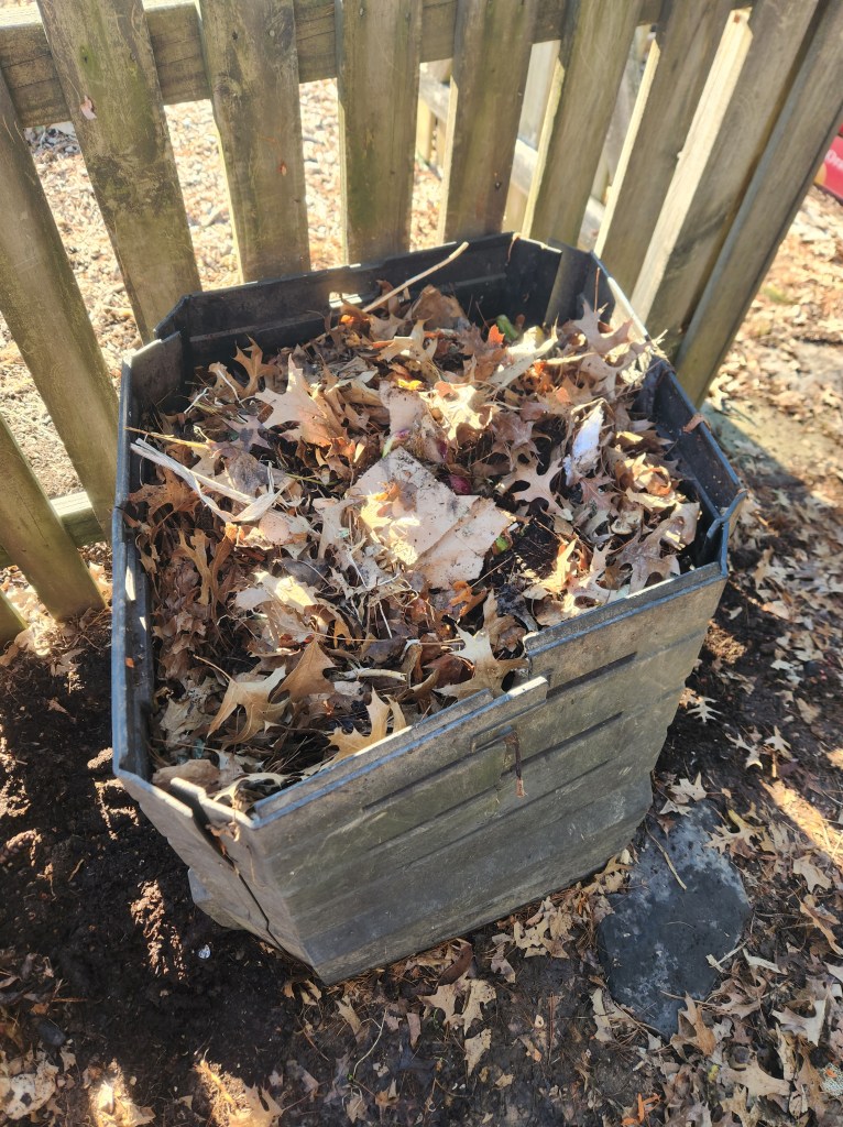 compost bin topped with leaves
