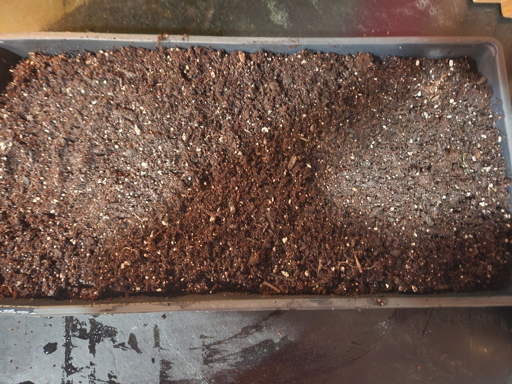 Tray of potting soil