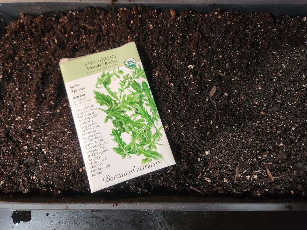Tray of potting soil sprinkled with baby arugula seeds