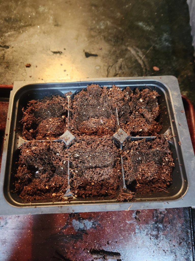 A more condensed 6 pack seed tray