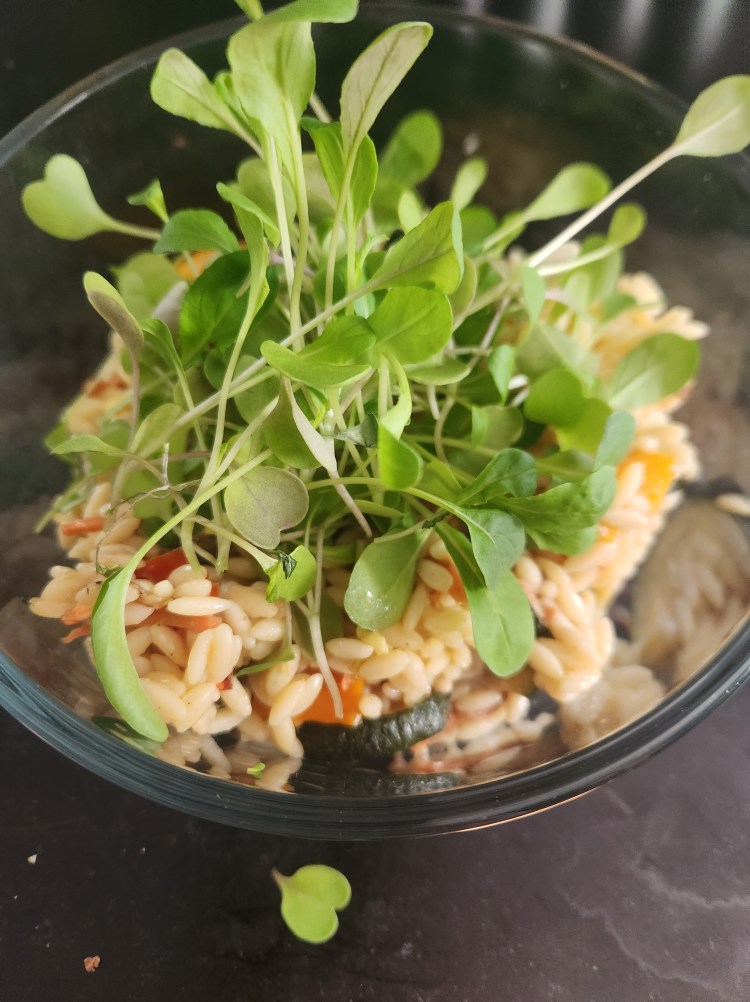 A bowl of Orzo and roasted veggie salad topped with baby arugula microgreens