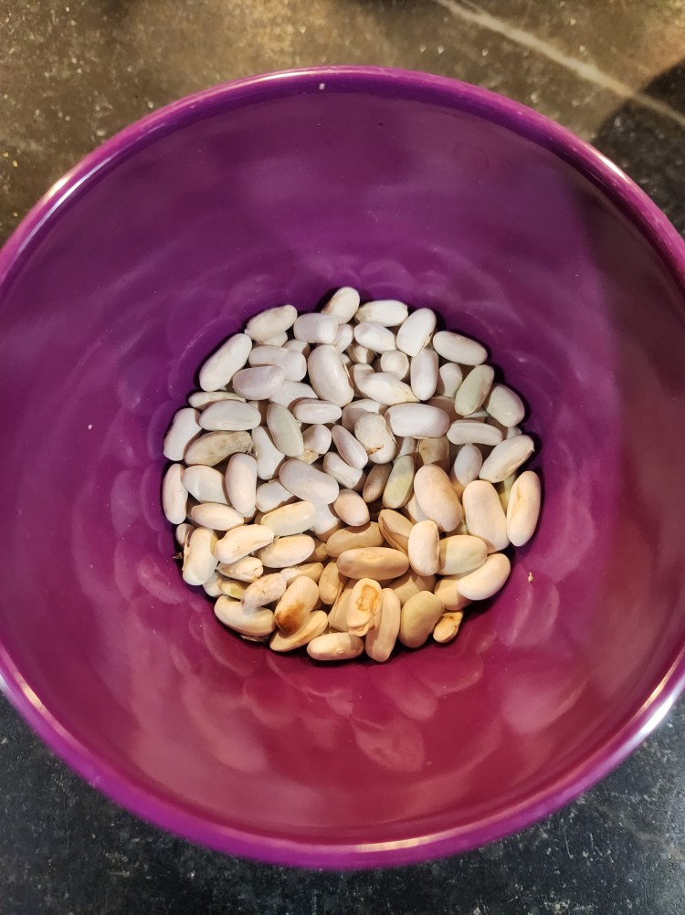 dried white beans in a bowl saved from green bean shells