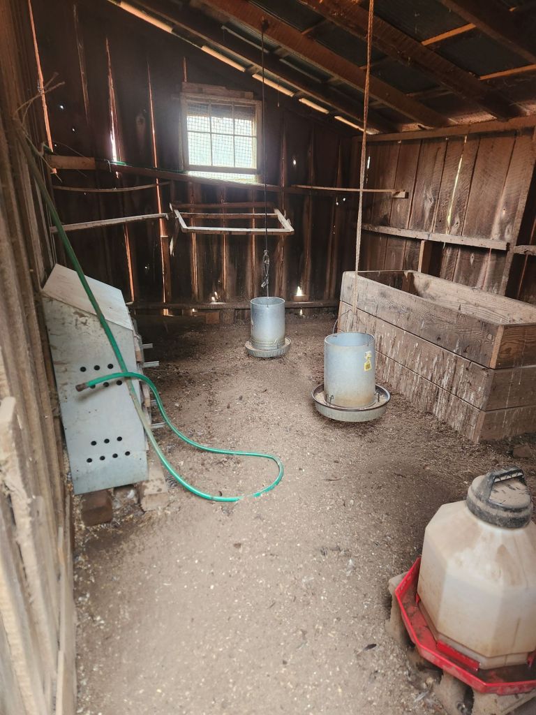 removal of all the feathers, the dust and the debris for a fresh start