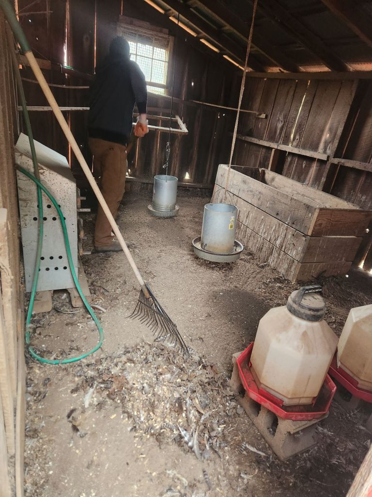 raking up the feathers, the dust and the debris